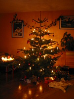 der Weihnachtsbaum